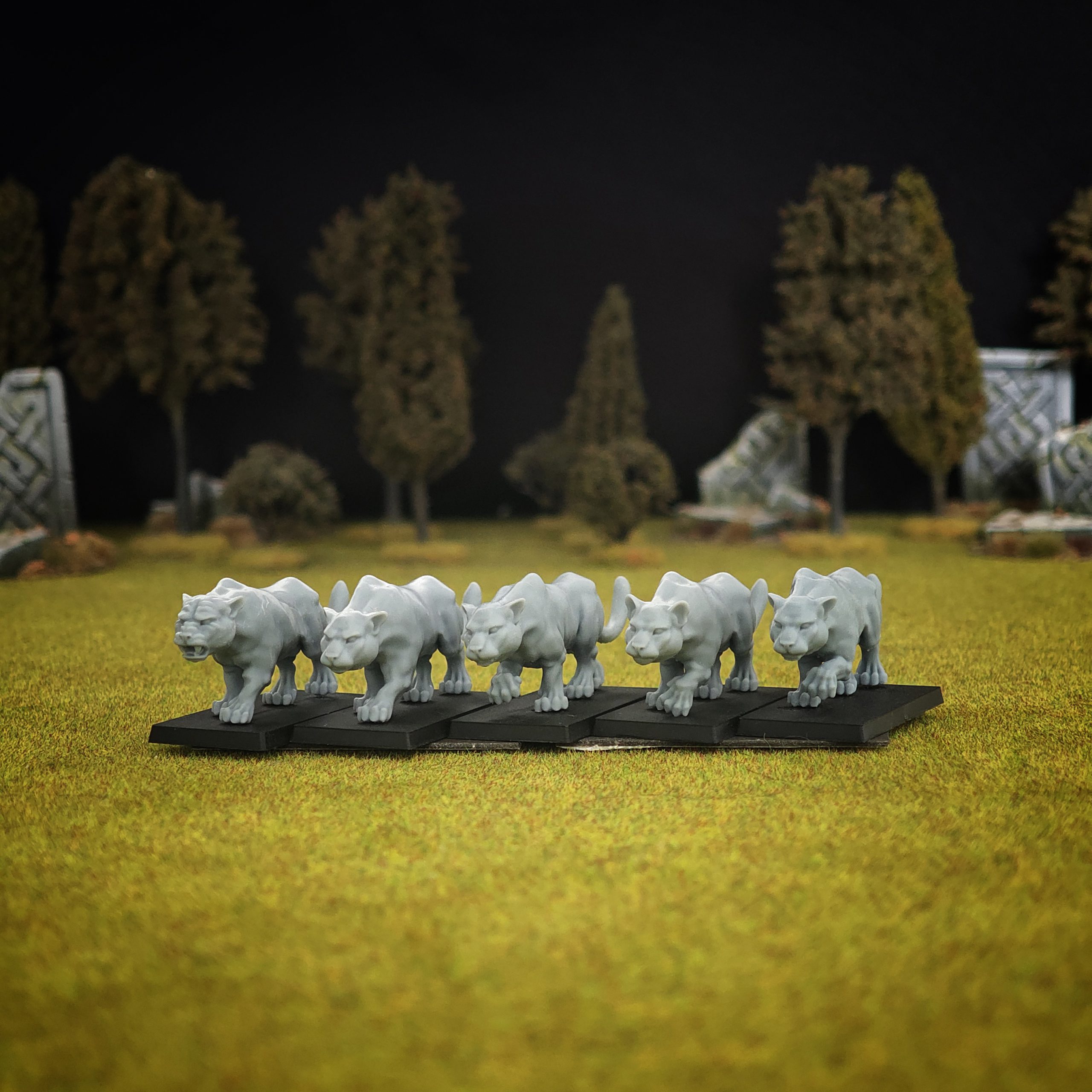 Amazonian Army Bundle, Warbound Amazons - MoM Miniatures - Image 9