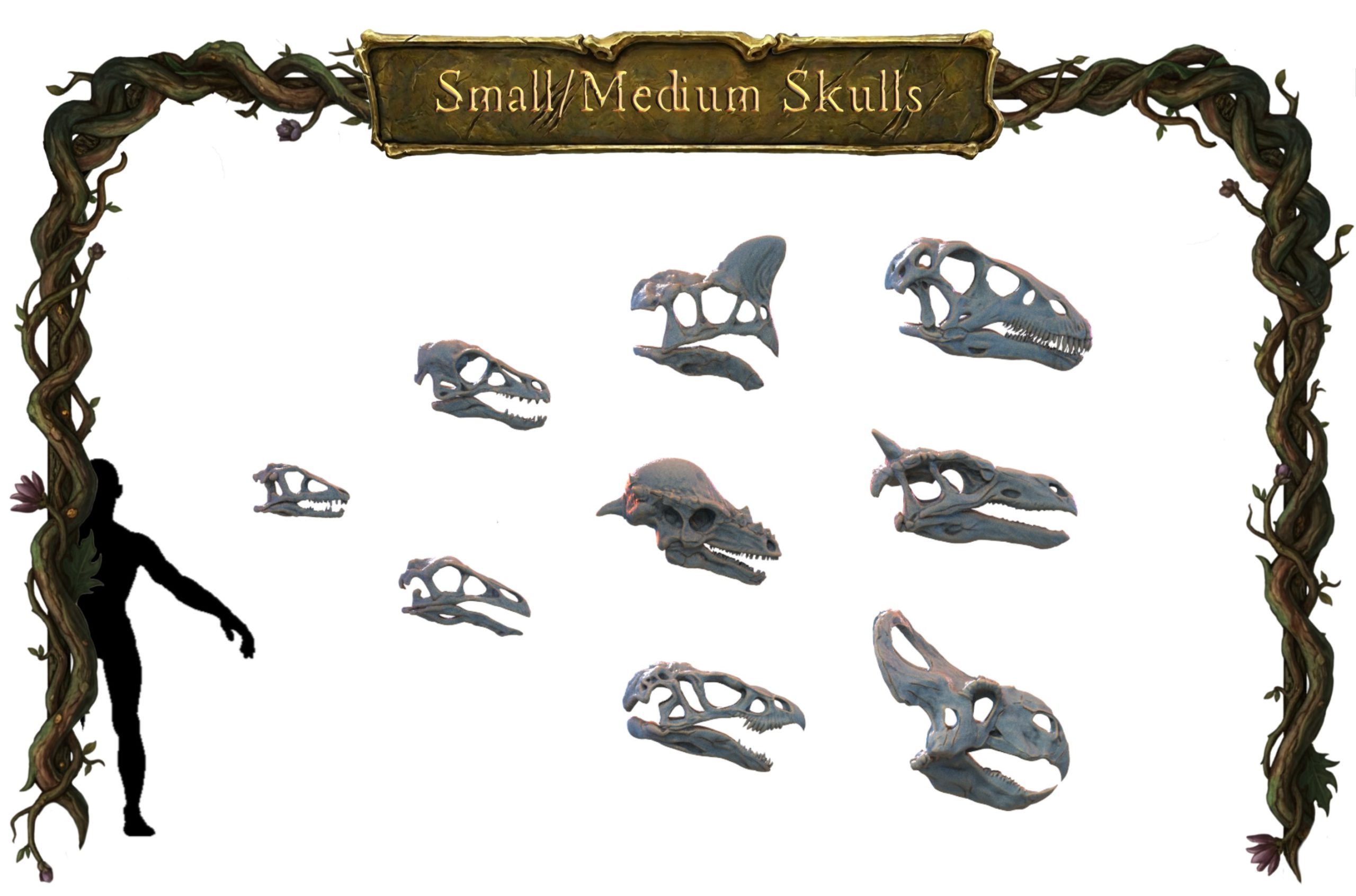 medium size skulls, cuetzpal jungle: wild creatures vol 1 lost kingdom (copy)