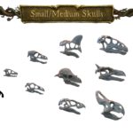 medium size skulls, cuetzpal jungle: wild creatures vol 1 lost kingdom (copy)