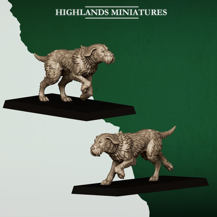 feral animals and beastamers, feral elves | highlands miniatures