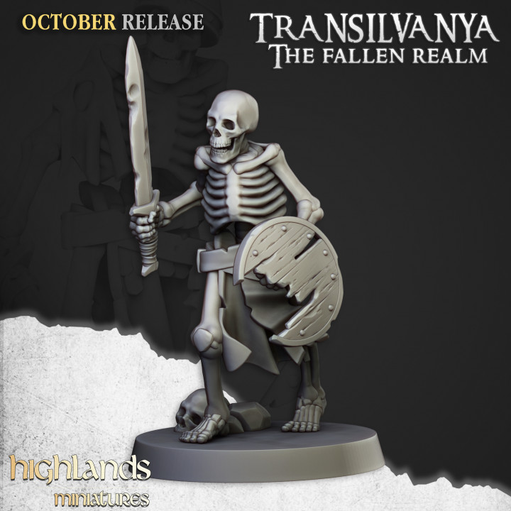 skeleton warriors unit , transylvania the fallen realm highlands miniatures (copy)